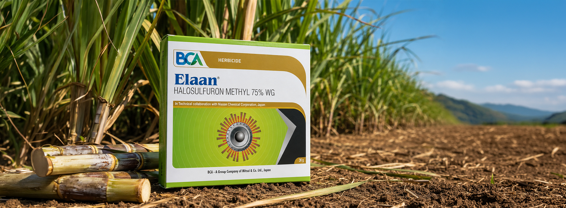 What Is a Post-Emergence Herbicide?